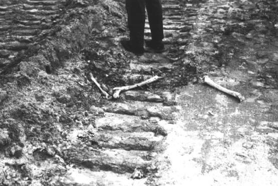 ЧЁРНАЯ  ДОРОГА .