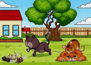 Знай, есть великая мышиная харизма! /микс/