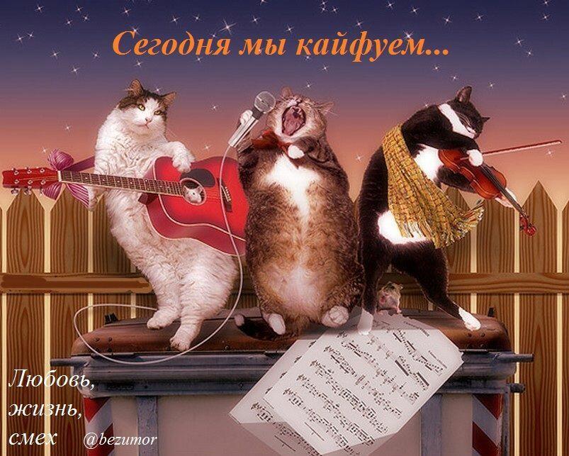 МАРТОВСКИЙ КОТ!     ВОТ!