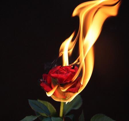 8-17 МОЯ НОЧЬ...