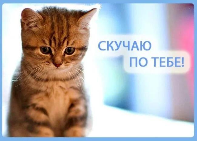 Скучаю по тебе