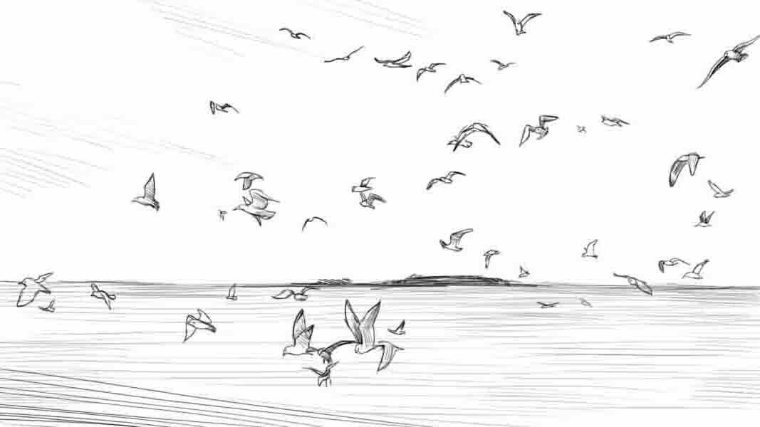 Лирический напев у моря в Турции