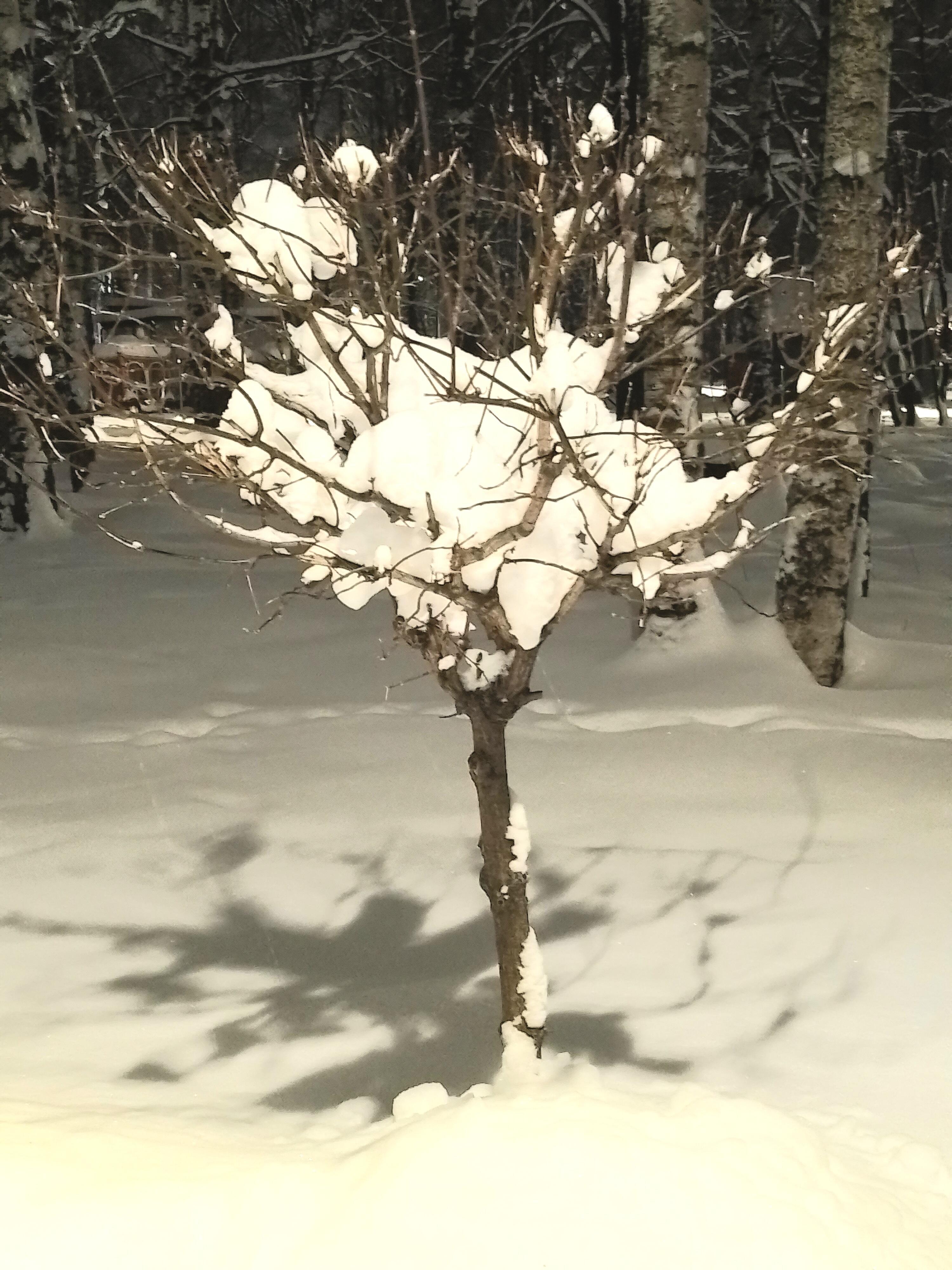 Декабрьское