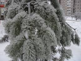 Град стоит хрустальный...