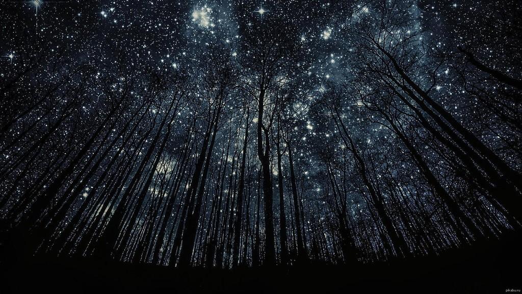 А знаешь ли ты, как страшно смотреть на звезды?..