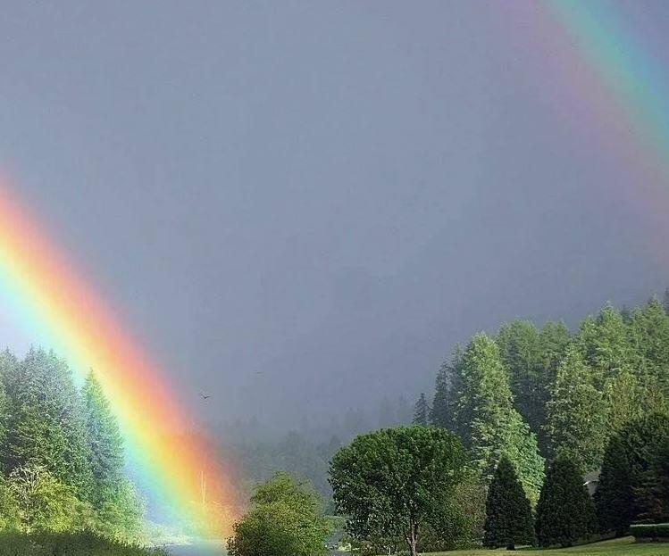 ПОИСК РАДУГИ