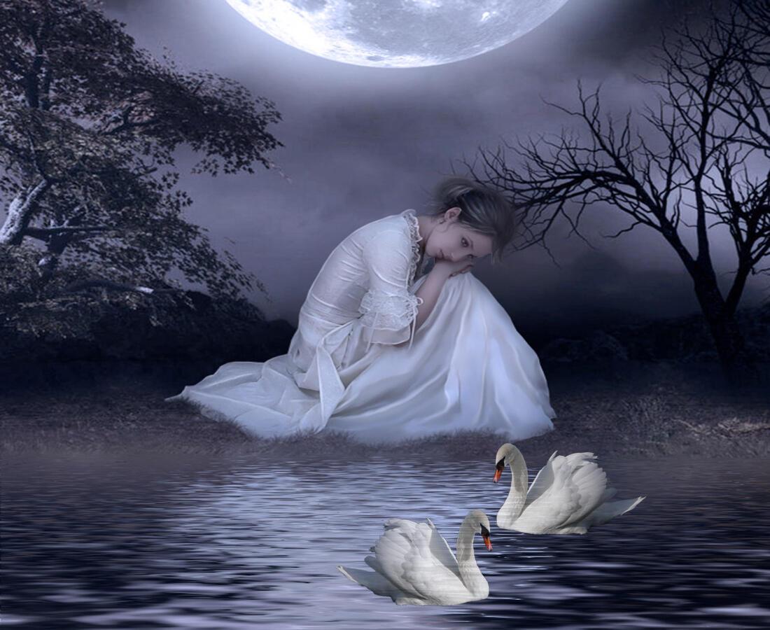 Луна лебединая. Девушка лебедь. Лебедь ночью. Лебеди вечером. Лебеди под луной.