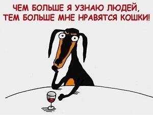 Чем больше узнаёшь людей... /междусобойчик/