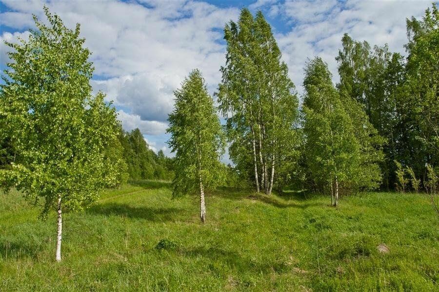 Грёзы девичьей любви