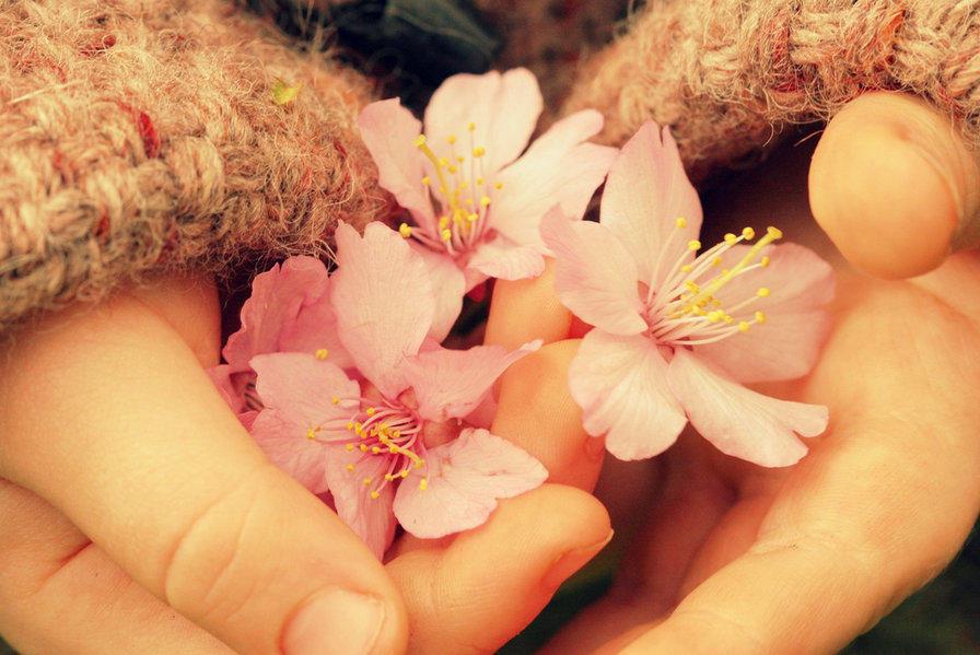 КТО Я ДЛЯ ТЕБЯ?