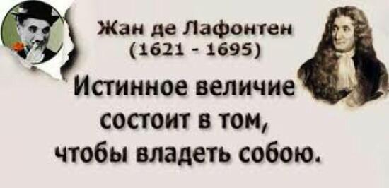 Интроспекция