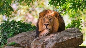 В каплях дождя.