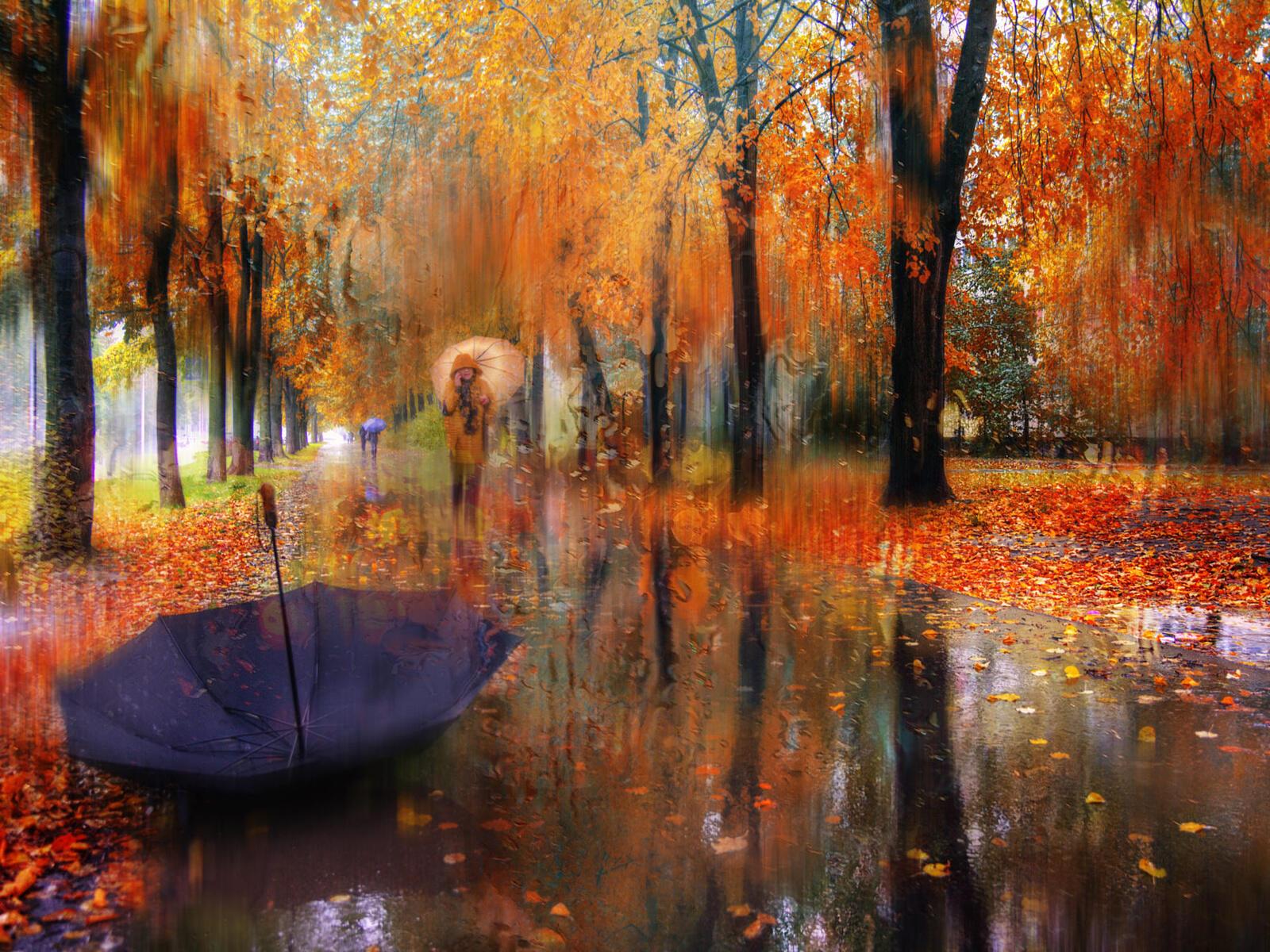 Осенний дождь