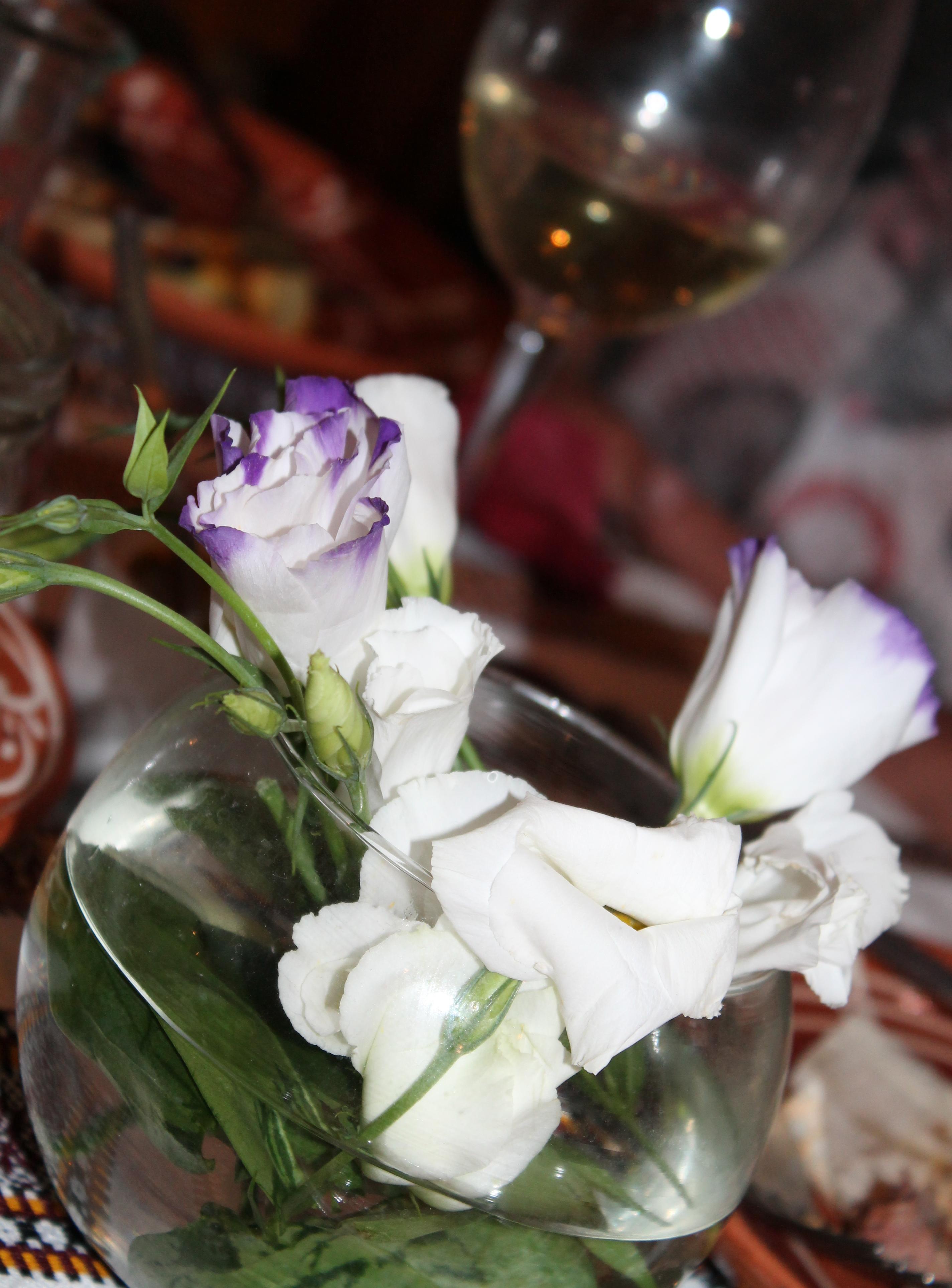 Встреча друзей