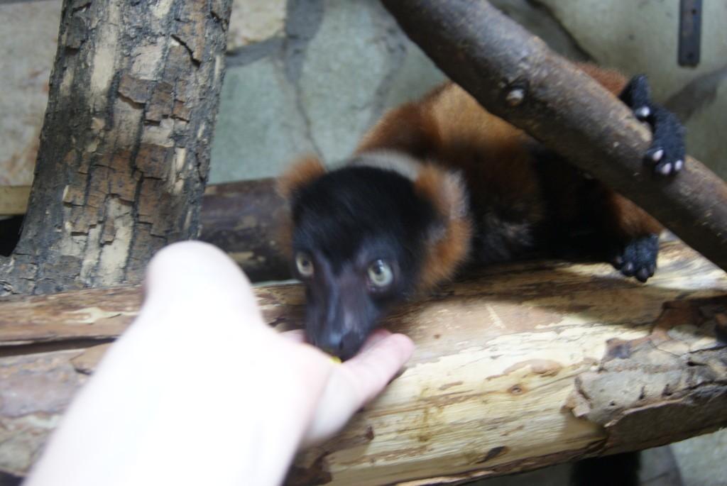 Пафосно,ну что ж