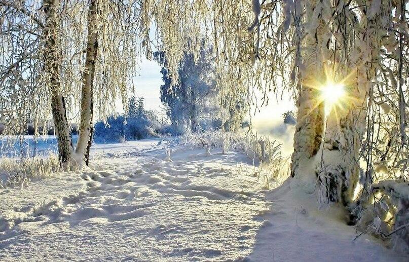 СНЕГ ПОШЁЛ, КАК И ПРОСИЛИ