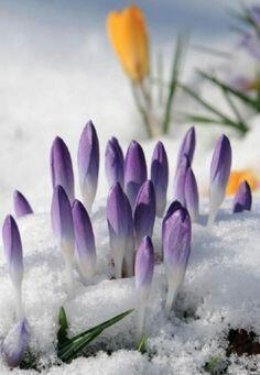 Без пяти минут