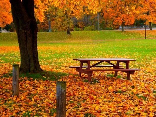 Мая восень...