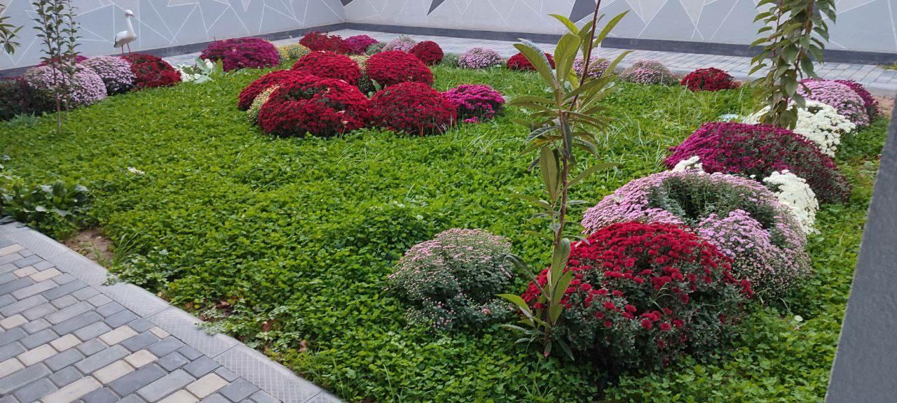 Соль (Маня 4)