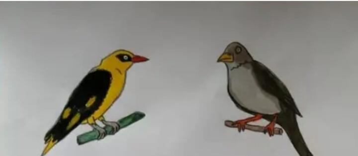 Иволга и соловей 