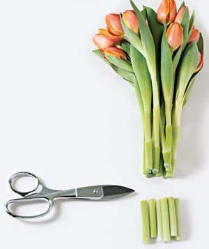 Живые цветы