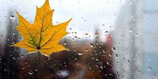 Осень любви