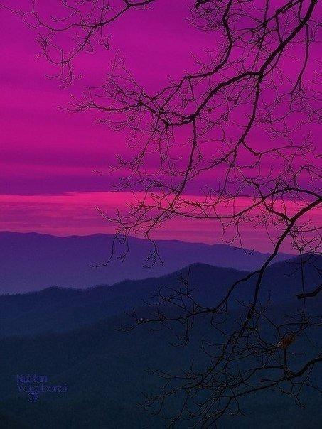 "Жизнь проходит…" (13.08.2018)