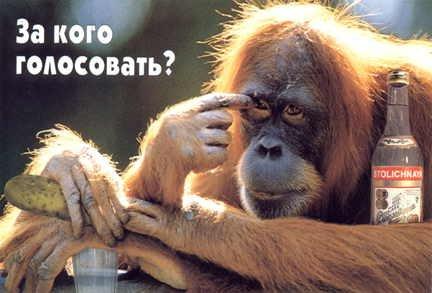 Выбор перед выборами