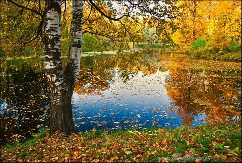 А жизнь и смерть во власти языка...