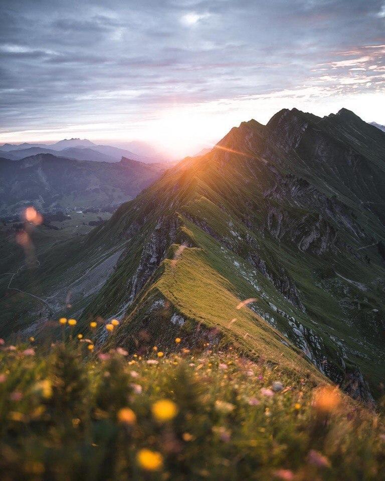 « Мой край родной Узбекистан».