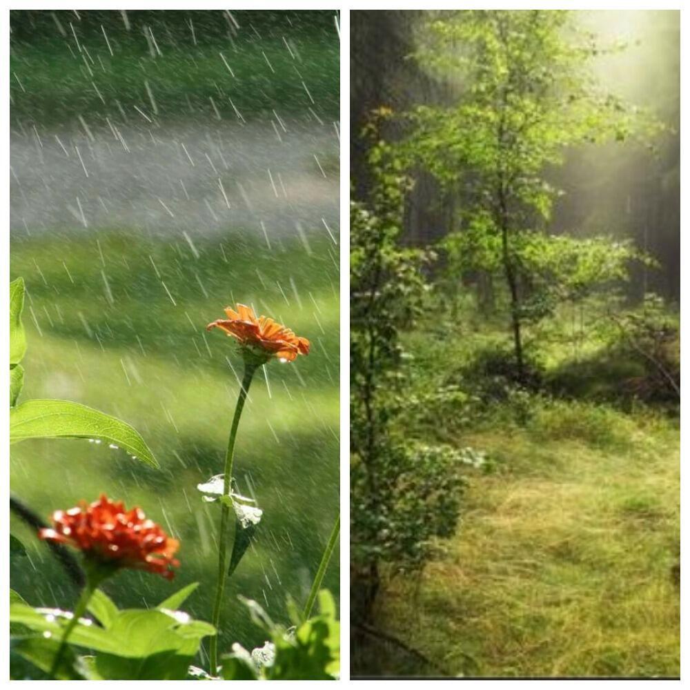 СЛЁЗЫ И УЛЫБКИ АВГУСТА /ДИПТИХ/