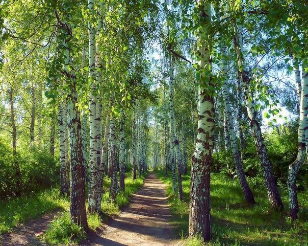 далеко - далече