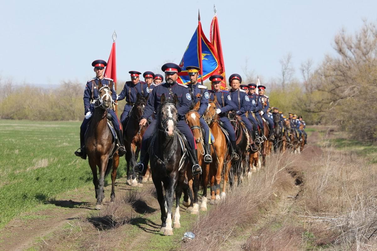 ЦИКЛ "МЫ КАЗАЧЬЕГО ВСЕ РОДА"