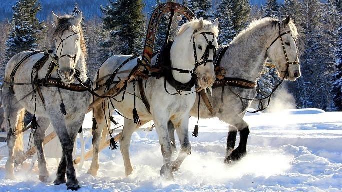 Удалая тройка.