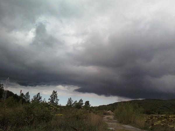 Перед грозой