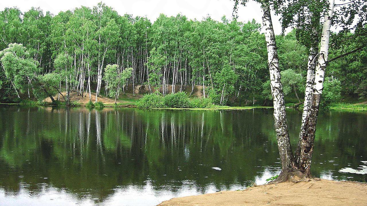 Ответ поэту - Гаптуллов Фердинанд - И ОТРАЖАЕТ ЧИСТЫЙ ВОДОЁМ