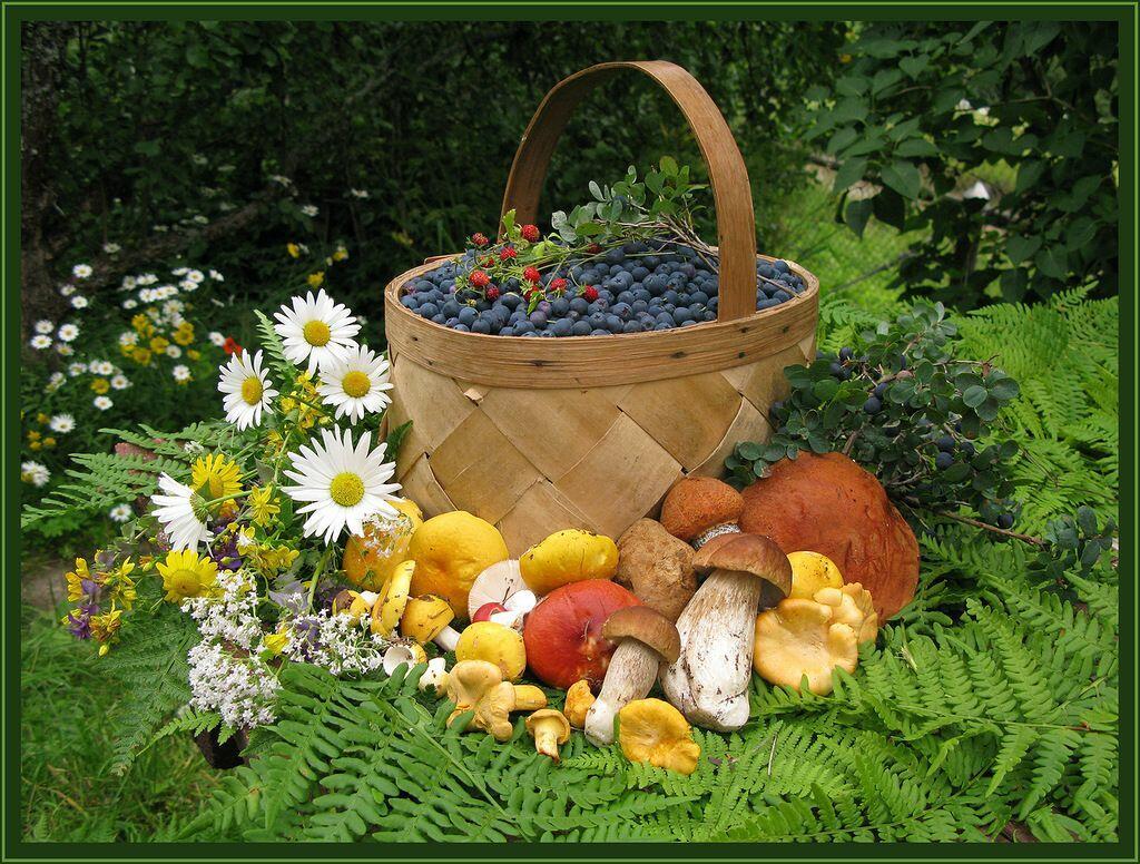 Прошлась по лесу