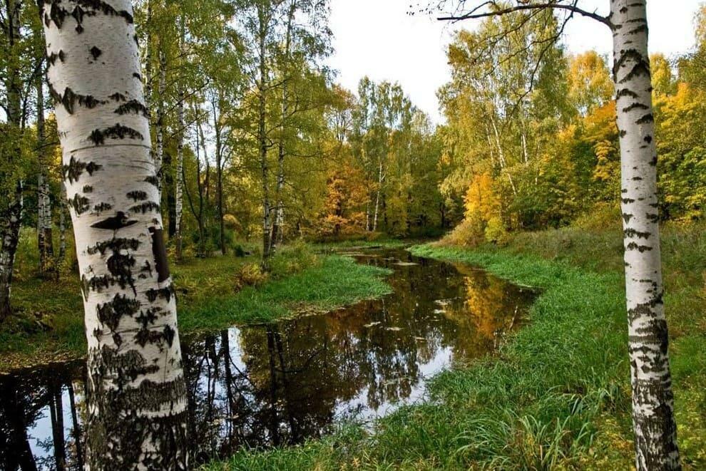 Тем, что имею- довольна вполне