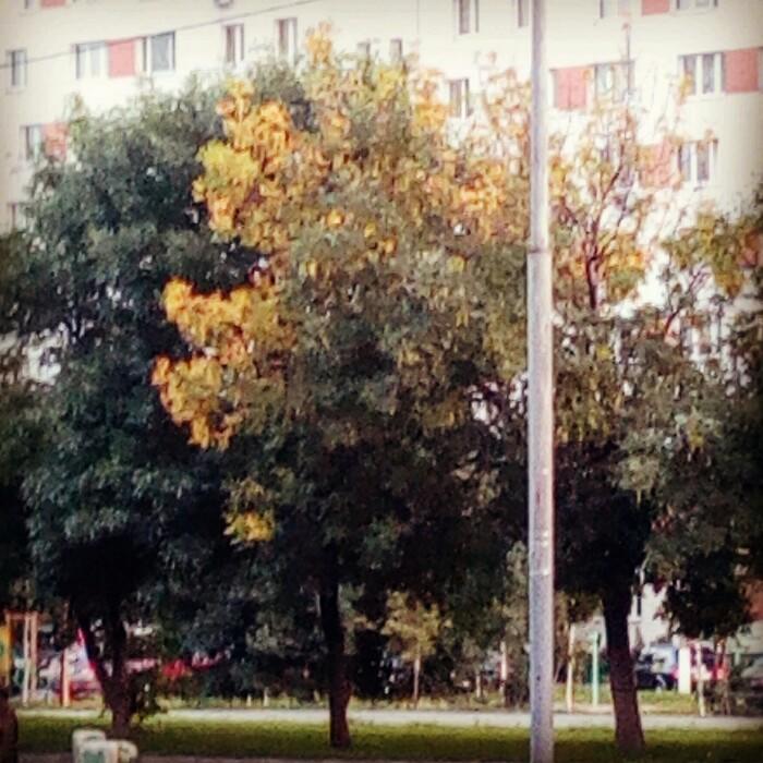 Stories в желтых тонах