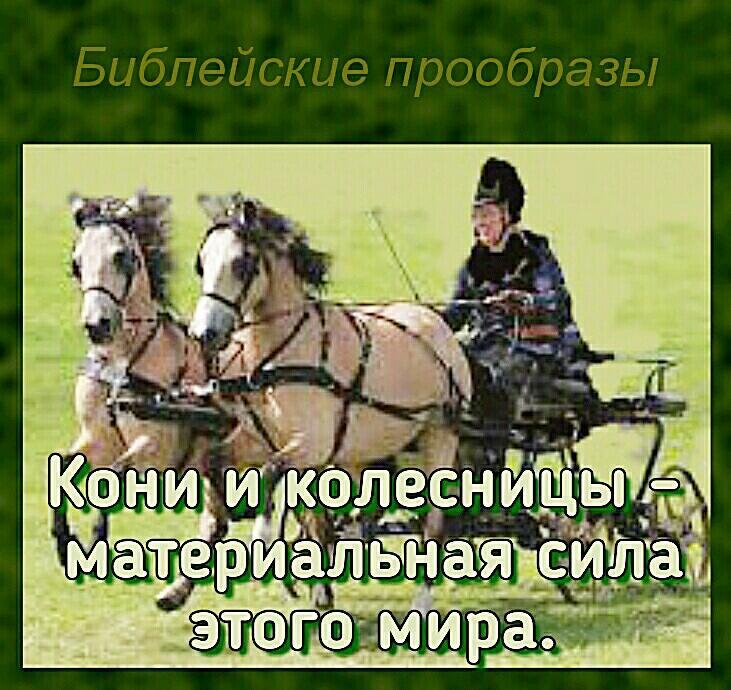 Кони и колесницы