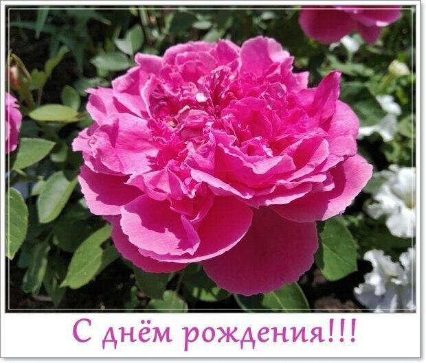 С днём рождения!