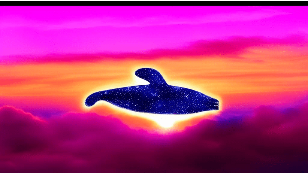 Звёздные киты