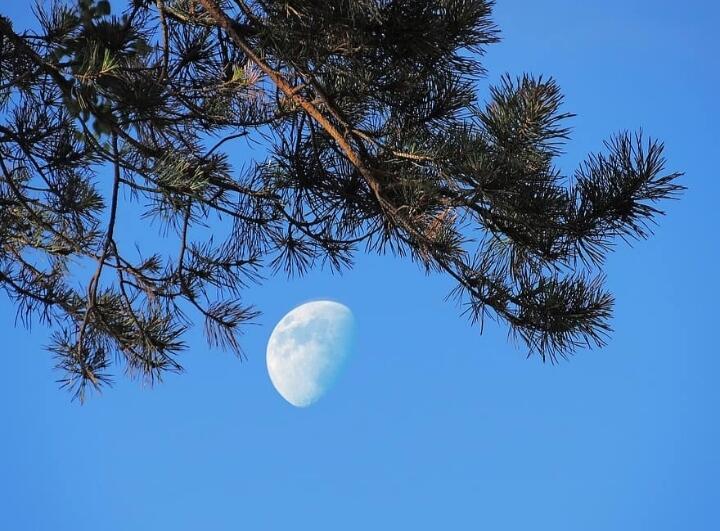 Тёплый вечер... 