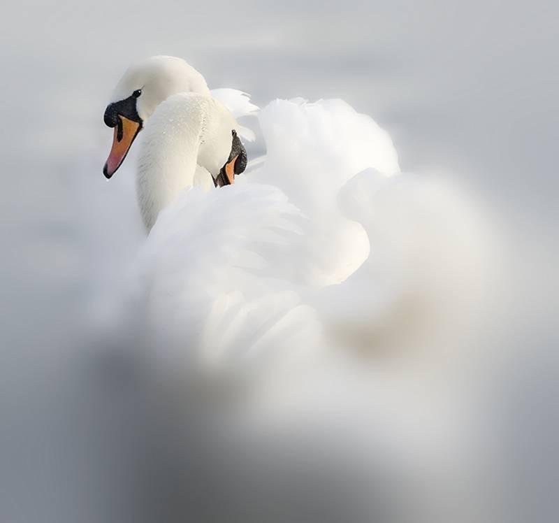 Неотвратимо...