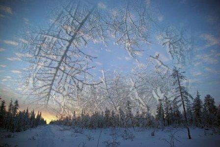 Зимнее. Сонет