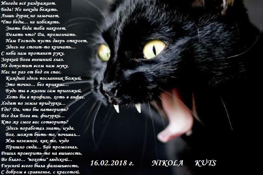 Проверить надо бы на вшивость