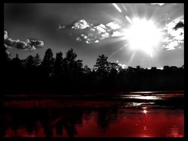 АНЯ 10. Ночи безумные, ночи бессонные