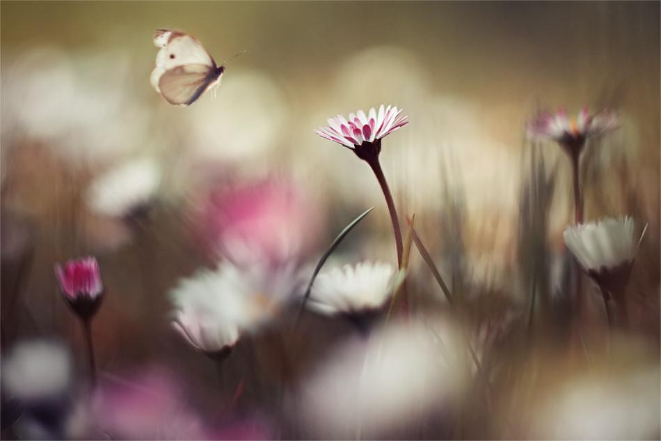 На праздной лености качелей...