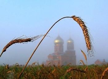 Истомила меня суета