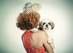 УЖ ЛУЧШЕ БЫ Я БЫЛ СОБАКОЙ (ВИКЕ В. «АХ ЛУЧШЕ Я БЫЛА БЫ ЛЕСБИ»)